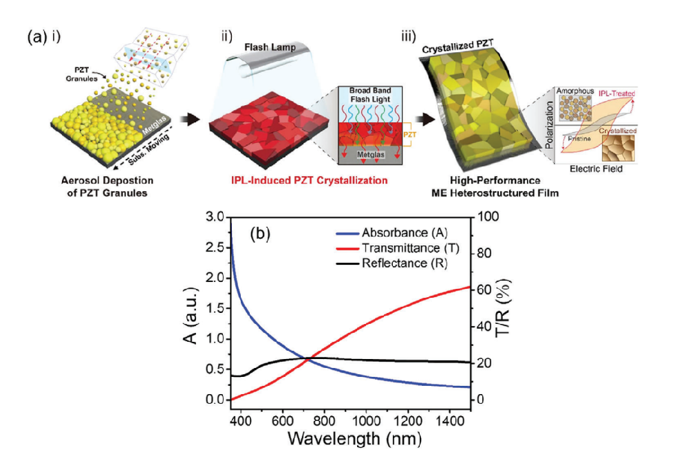 《Advanced Material》：采用光子燒結(jié)熱處理Pb（Zr，Ti）O3/Metglas異質(zhì)結(jié)構(gòu)薄膜會(huì)產(chǎn)生超過20Vcm?1Oe?1的極大磁電耦合（IF=29.477）